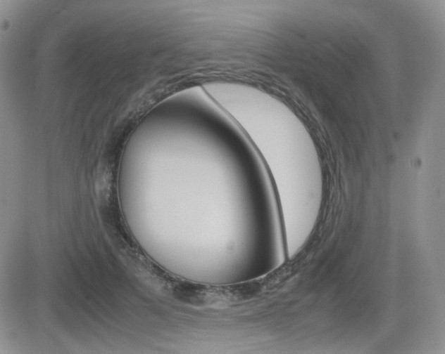 X0000082700697200701260930