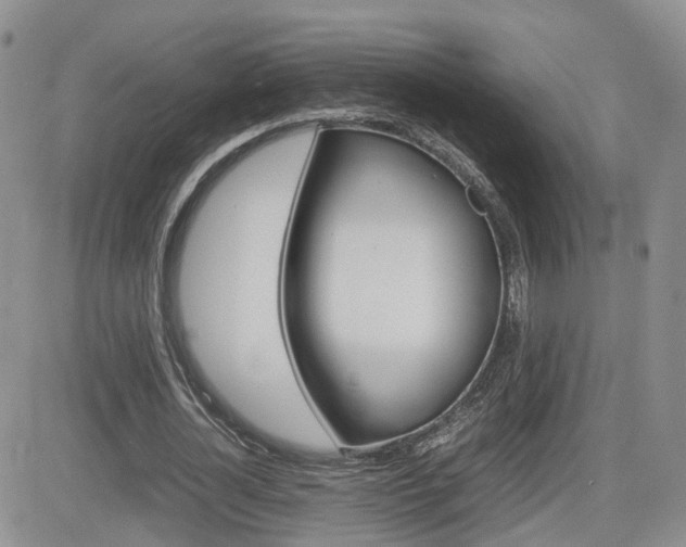 X0000082700724200701260929