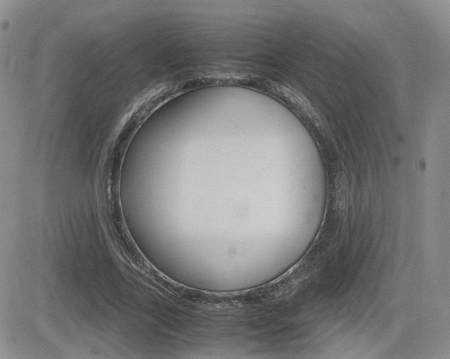 X0000082700731200701260929