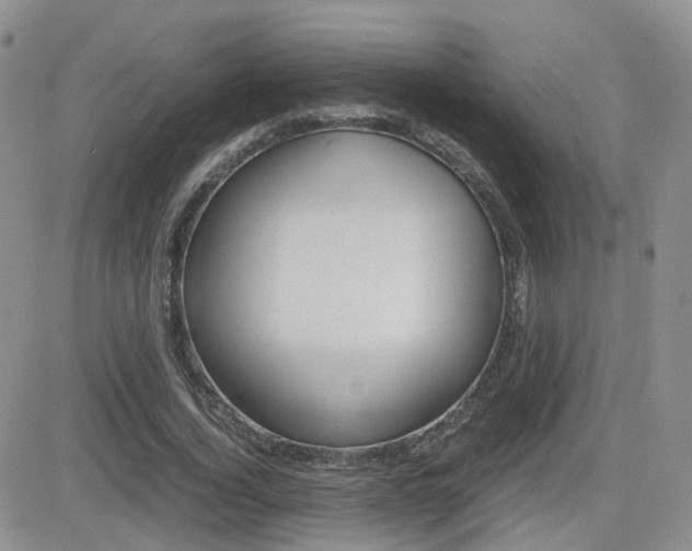X0000082700732200701260929