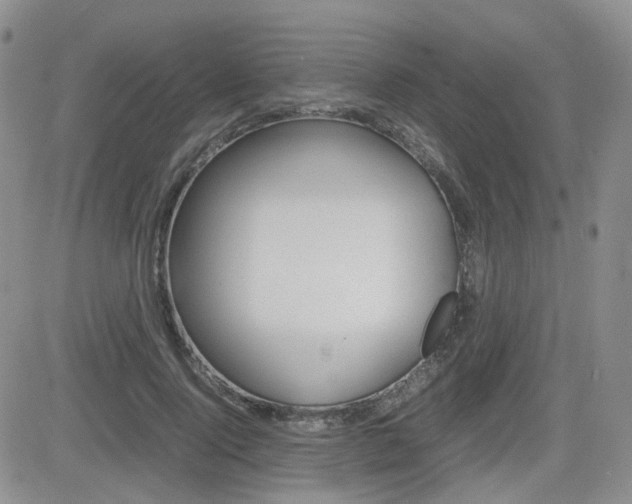 X0000082700740200701260929