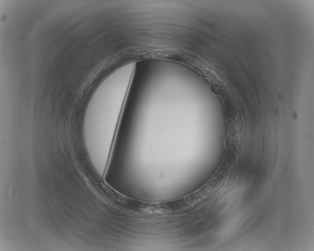 X0000082700742200701260929