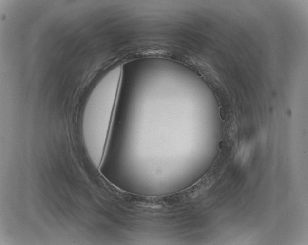 X0000082700743200701260929