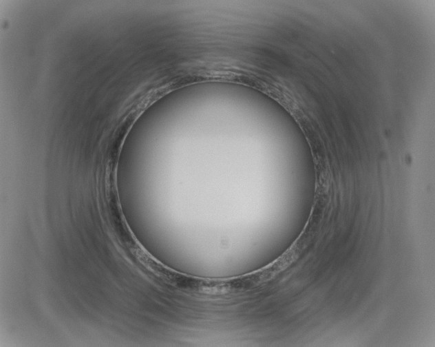 X0000082700744200701260929