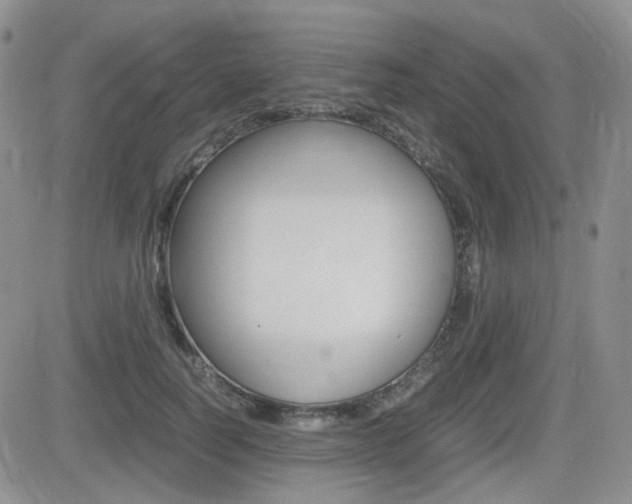 X0000082700746200701260929
