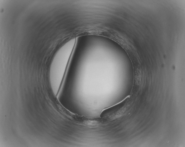 X0000082700748200701260929