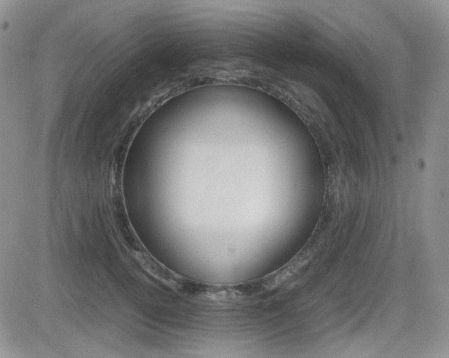 X0000082700752200701260929
