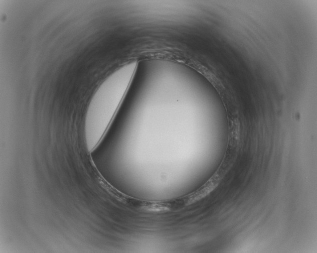 X0000082700754200701260929