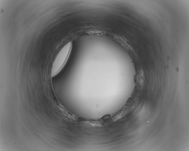 X0000082700763200701260930