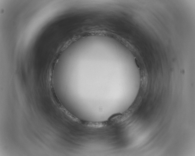X0000082700767200701260930