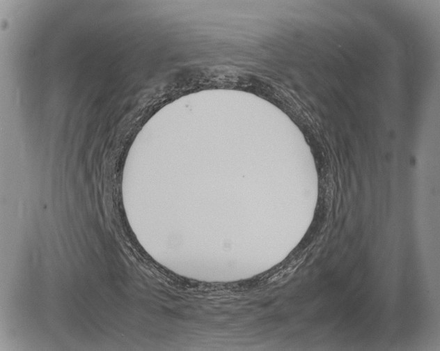 X0000082700769200701260929