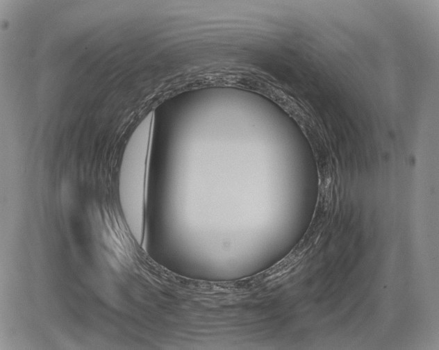 X0000082700772200701260929