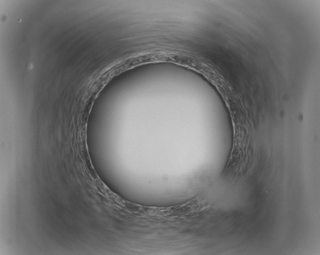 X0000082700773200701260929