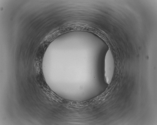 X0000082700774200701260929