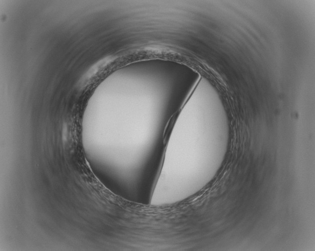 X0000082700776200701260929