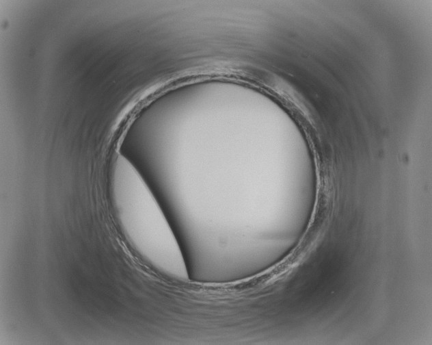 X0000082700781200701260929
