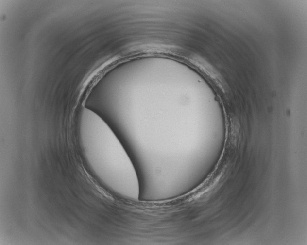 X0000082700782200701260929