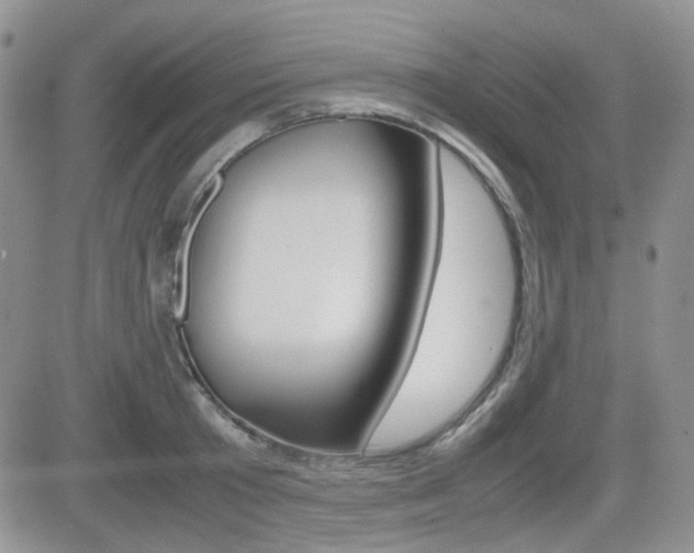 X0000082700801200701260928