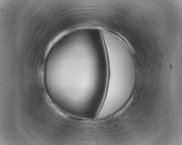 X0000082700812200701260928