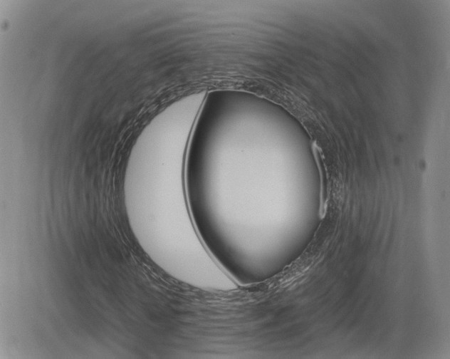 X0000082700818200701260927