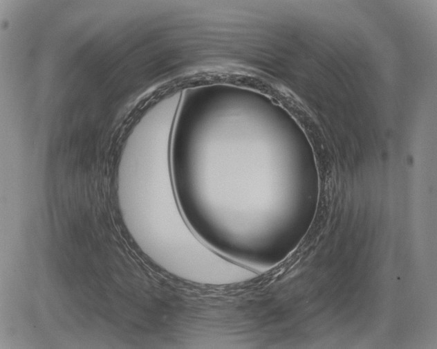 X0000082700822200701260927