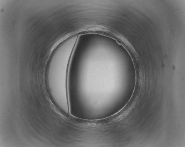 X0000082700834200701260928