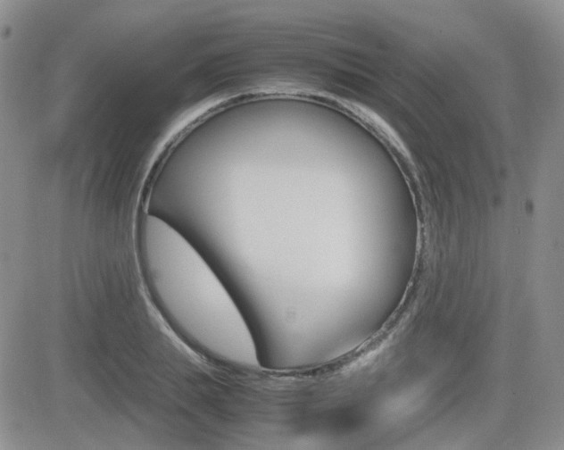 X0000082700839200701260928