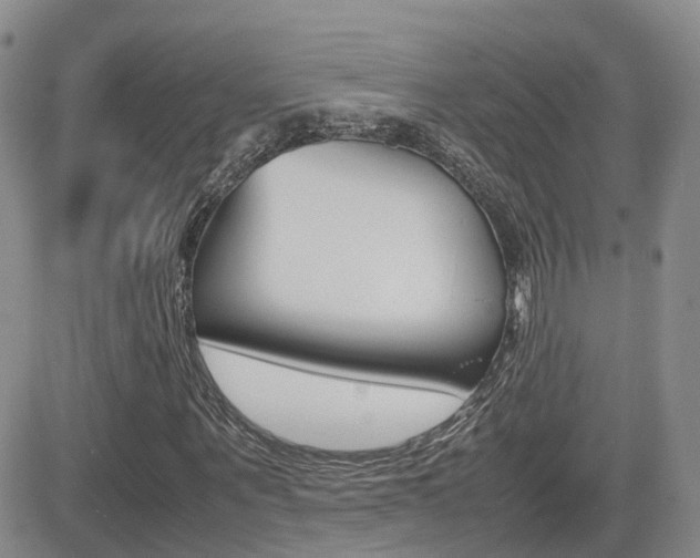X0000082700867200701260927