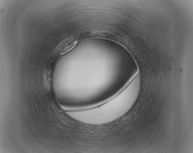 X0000082700868200701260927