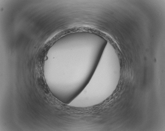 X0000082700871200701260927