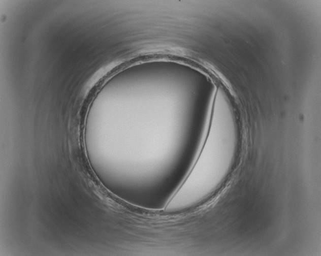 X0000082700877200701260927