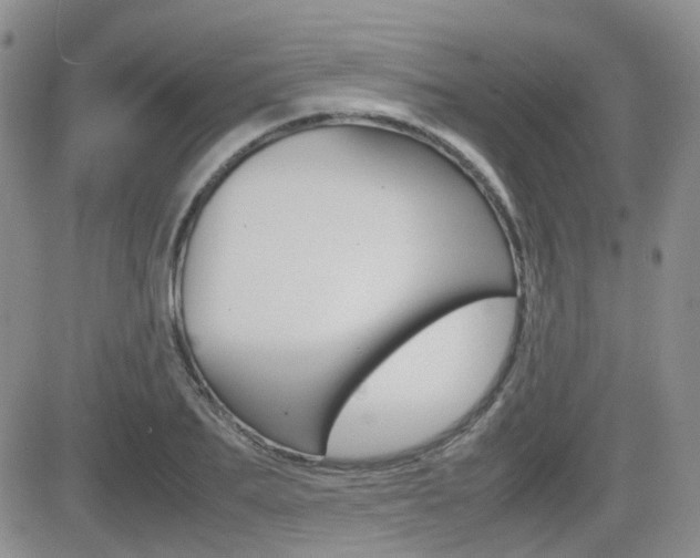 X0000082700887200701260927