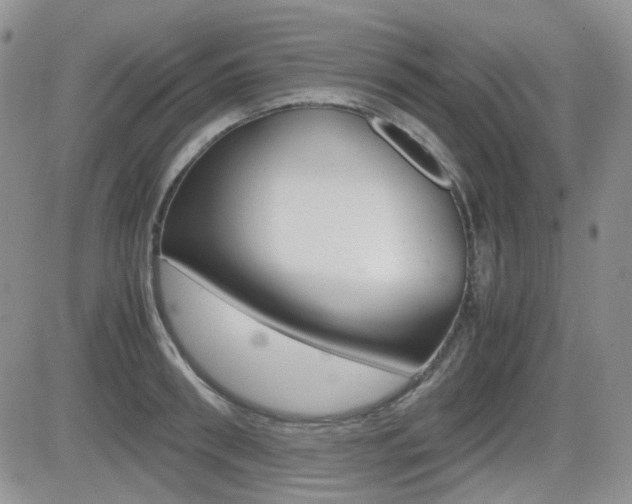 X0000082700898200701260927