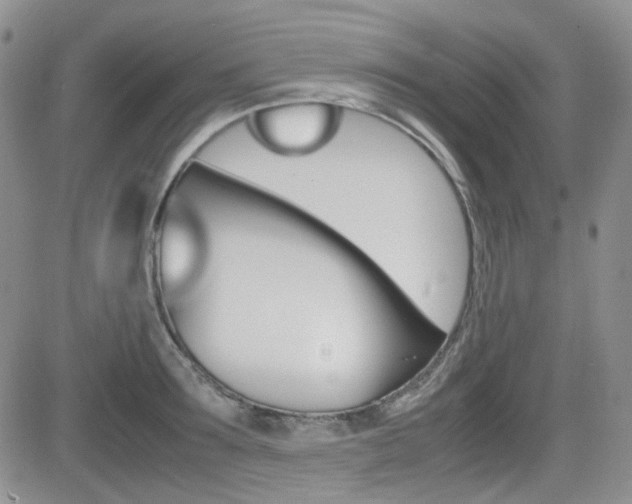 X0000082700899200701260927