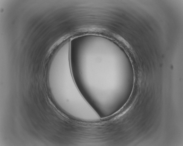 X0000082700922200701260926