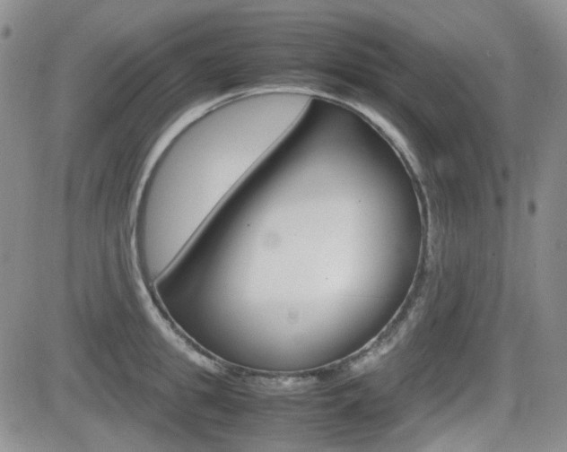 X0000082700949200701260926