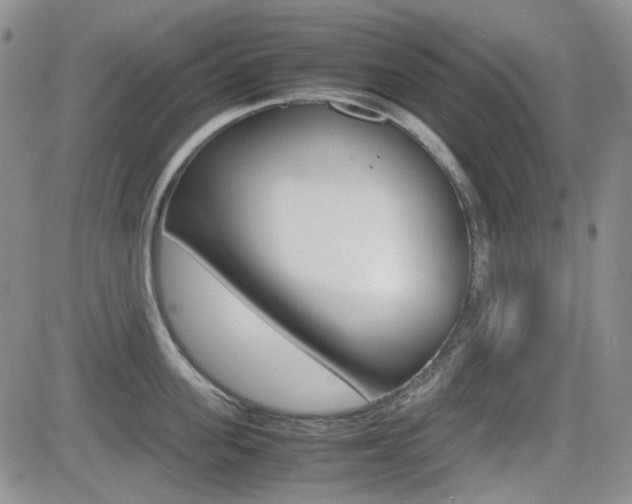 X0000082700955200701260926