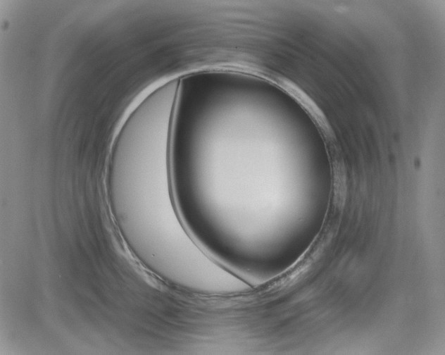 X0000082700956200701260926