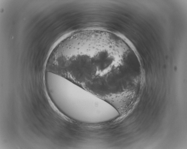 X0000082700957200701260926