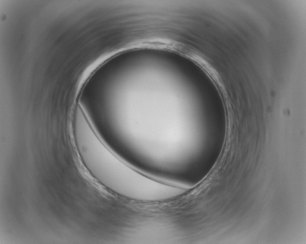 X0000082700960200701260926