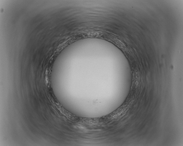 X0000082700962200701260926