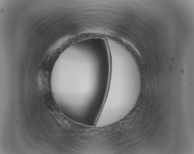 X0000082700968200701260926