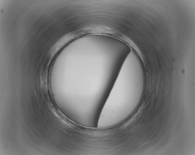 X0000082700986200701260925