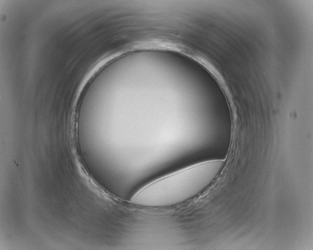 X0000082701008200701260925