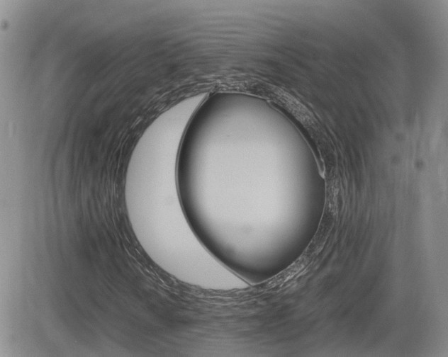 X0000082701010200701260924