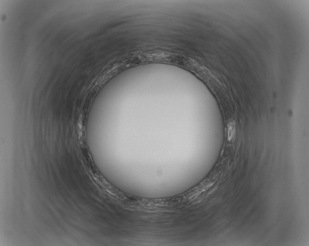 X0000082701011200701260924