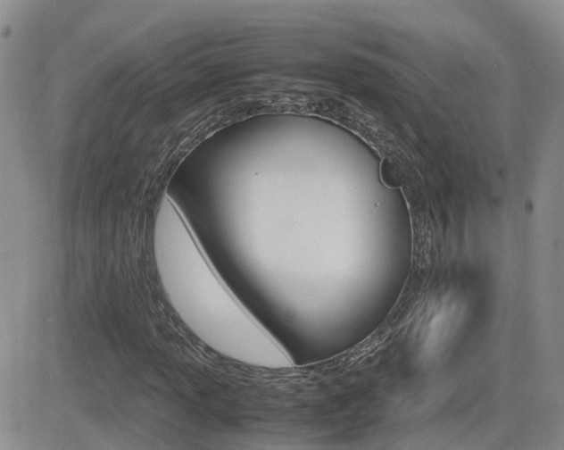 X0000082701013200701260924