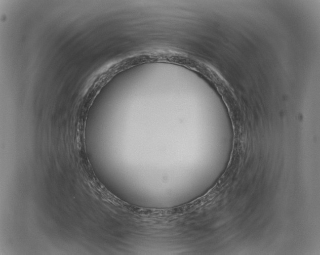 X0000082701016200701260924