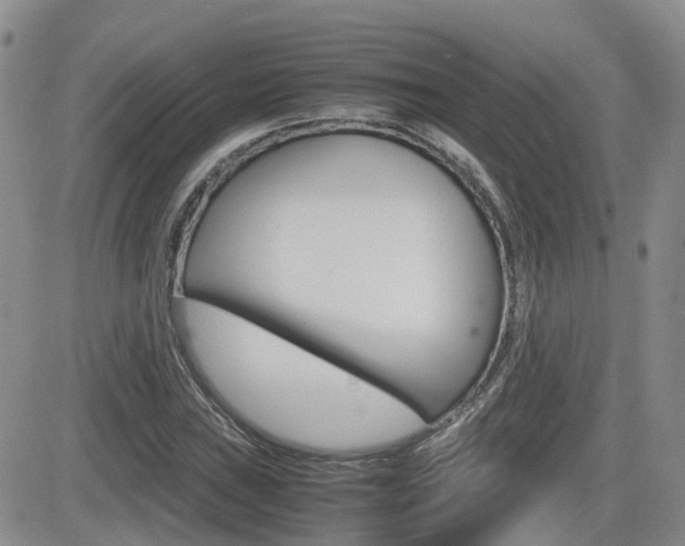 X0000082701019200701260924