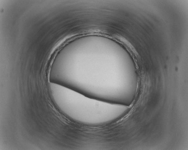 X0000082701023200701260924